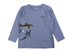 Name It troposphere shark top